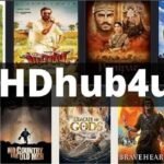 hdhubfu