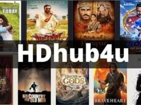 hdhubfu